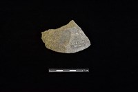 藏品(打製石器)的圖片